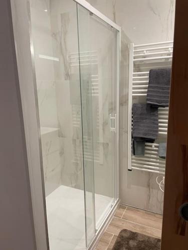 une douche avec une porte vitrée dans une salle de bain dans l'établissement Antibes : Beau studio en plein centre ville, à Antibes