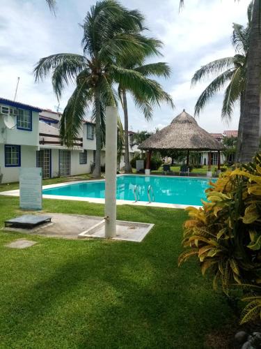 a view of a swimming pool with a palm tree at Casa en la zona de Acapulco diamante in La Sabana