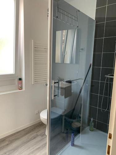 une salle de bain avec toilettes et douche en verre dans l'établissement Studio en centre ville d'Argentan, à Argentan