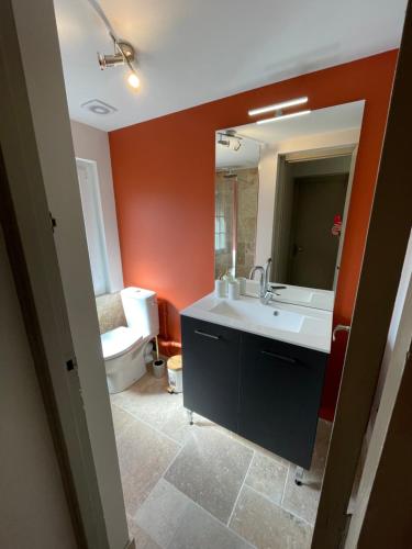 een badkamer met een wastafel en een spiegel bij Gîte Normandie in Lisieux
