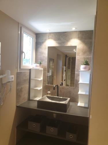 une salle de bain avec un lavabo et un miroir dans l'établissement L'Oustaou, à Château-Arnoux-Saint-Auban