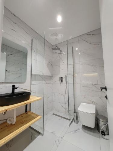 a bathroom with a shower and a sink and a toilet at Jani Studio Apartments in Gjirokastër