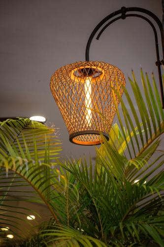aendant light hanging over a green plant at Caesar Premier Tiberias Hotel in Tiberias