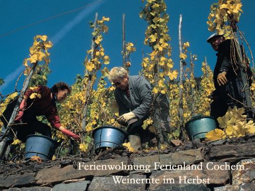 Hosté ubytování Ferienwohnungen Ferienland Cochem