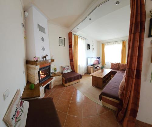 - un salon avec un canapé et une cheminée dans l'établissement Vila Mikdonia - Predelut Home, à Predeluţ