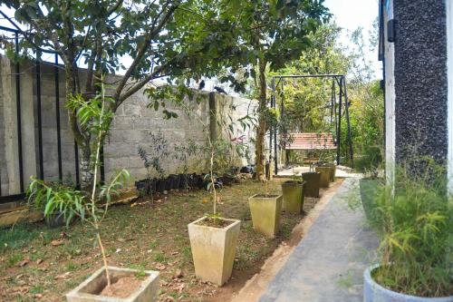 a garden with trees and a bench in the background at Mount Elegance in Nuwara Eliya