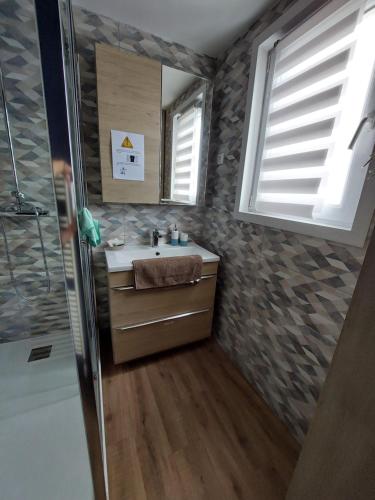 une salle de bain avec un lavabo et une douche dans l'établissement Bel appartement spacieux et lumineux, à Dunkerque