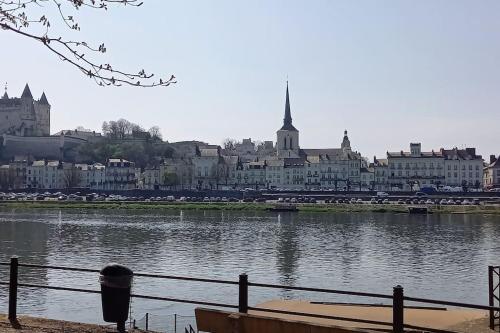 a view of a city with a body of water at Appartement centre Saumur bord de Loire Les marronniers in Saumur