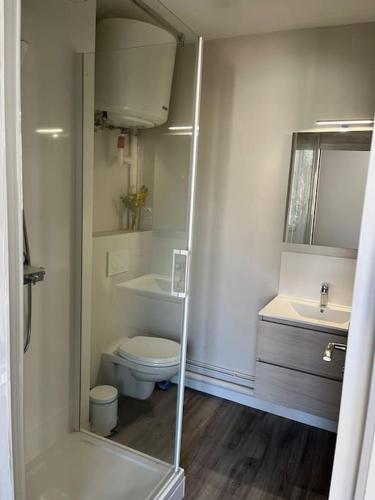 une petite salle de bain avec toilettes et lavabo dans l'établissement Les marronniers appartement centre Saumur bord de Loire, à Saumur