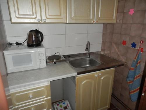 eine kleine Küche mit einer Spüle und einer Mikrowelle in der Unterkunft Penzion Iva in Tanvald