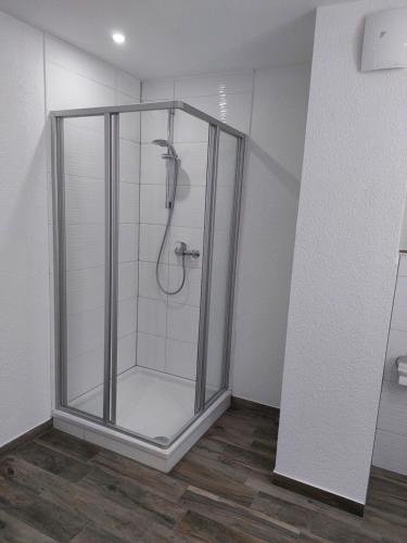 a shower with a glass door in a bathroom at Dorfidyll 