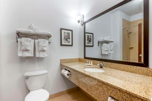 a bathroom with a sink and a toilet and a mirror at Comfort Suites Conference Center Rapid City in Rapid City