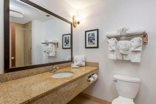 a bathroom with a sink and a toilet and a mirror at Comfort Suites Conference Center Rapid City in Rapid City