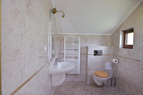 Sub Piatra的住宿－Pensiunea Huda lui Papară，一间带水槽、卫生间和淋浴的浴室
