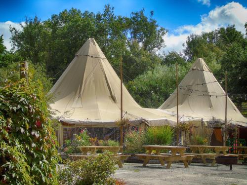 two large tents in a garden with picnic tables at Ceridwen Glamping, double decker bus and Yurts in Llandysul