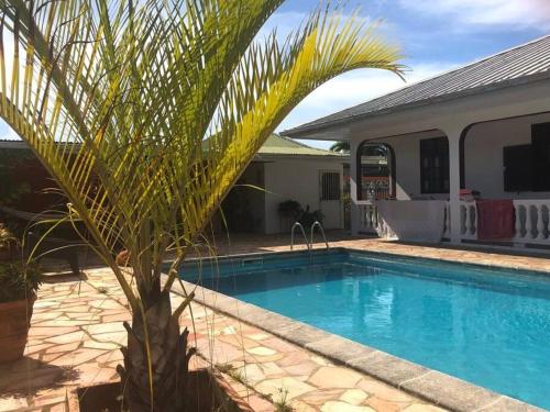 uma piscina com uma palmeira ao lado de uma casa em les hauts de Remire Chambre studio indépendant calme avec piscine em Rémire-Camp