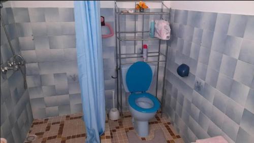 La salle de bains est pourvue de toilettes bleues. dans l'établissement Zowanj 1 - Logement avec vue panoramique, à Le Robert