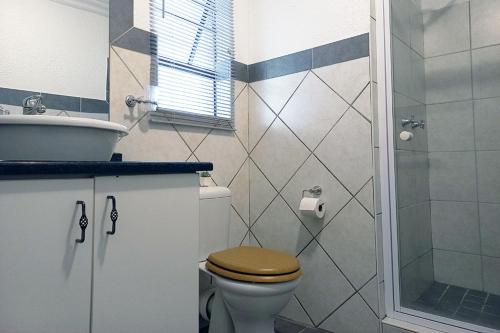 a bathroom with a toilet and a sink and a shower at Spacious Hatfield Apartment in Pretoria