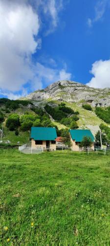 a building in a field with a mountain in the background at Katun Mokra accommodation & horseback riding in Podgorica