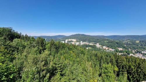 a town on top of a hill with trees at Brave Lama in Tanvald