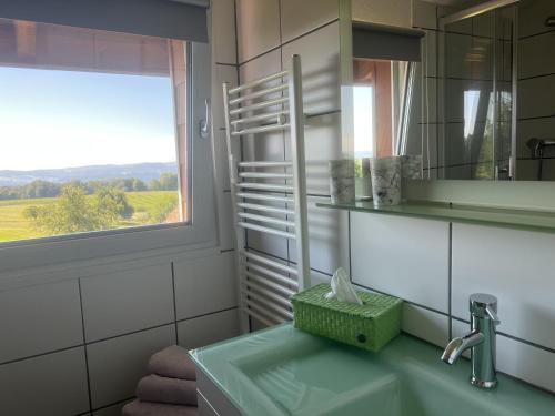 a bathroom with a sink and a mirror and a window at Haus Jehle in Görwihl