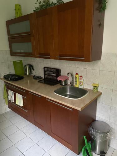 a kitchen with a sink and a counter top at Ubytování u Medvěda in Rokytnice v Orlických Horách