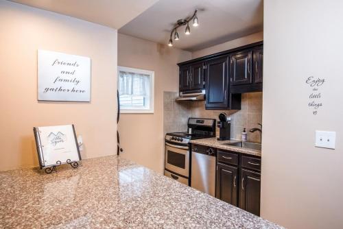 a kitchen with black cabinets and a counter top at Villa Signor in Norwich