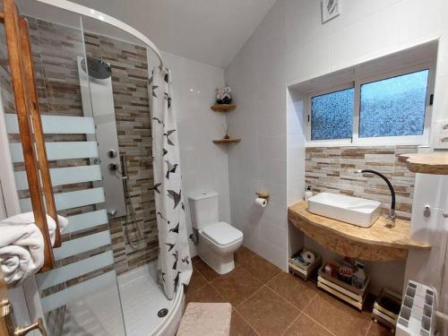 a bathroom with a shower and a toilet and a sink at La Quibla de Abuhan in Caudé