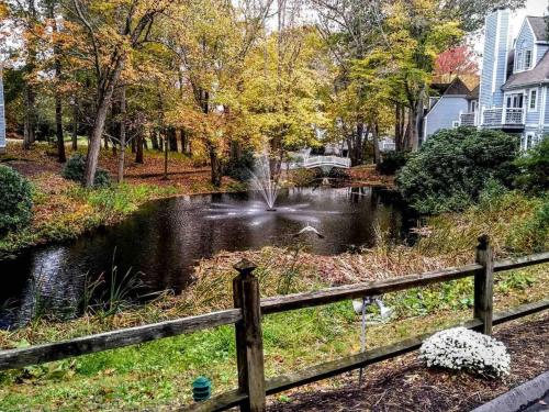 a pond in a yard with a fence at Villa Signor in Norwich