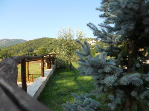 a pine tree in a yard next to a fence at Tenuta Armida Relax & Pool in Liberi