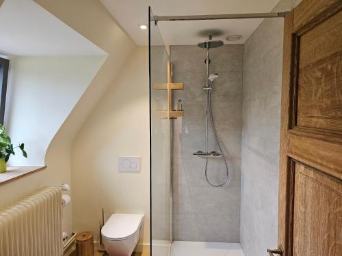 a bathroom with a shower with a toilet at Les chambres de la Vaulx-Renard in La Gleize