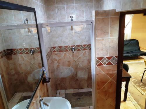 a bathroom with a shower with a toilet and a sink at Acre of Africa Guesthouse in Boksburg