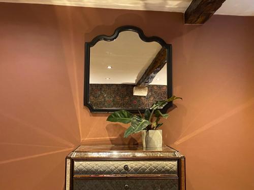 a mirror on top of a table with a plant on it at Linden Retreat in Brimscombe