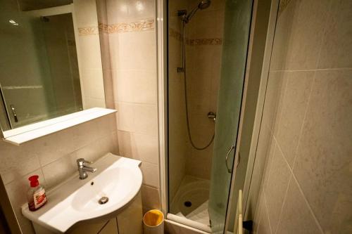 une salle de bain avec un lavabo et une douche dans l'établissement Appartement à Santa Lucia Vue Mer, à Saint-Raphaël