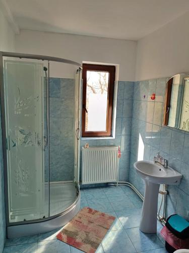 a bathroom with a shower and a sink at Pensiunea Agroturistica Ica in Valea Drăganului