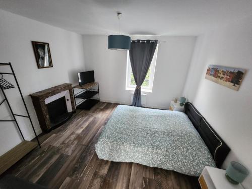 1 dormitorio con 1 cama grande y chimenea en Magnifique T3 Guéret, en Guéret