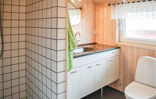 a bathroom with a sink and a toilet at Nice Home In Hvide Sande With Kitchen in Havrvig