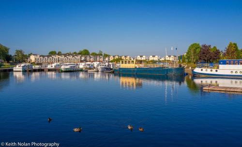 a marina with boats and ducks in the water at Rowing club house in Carrick on Shannon