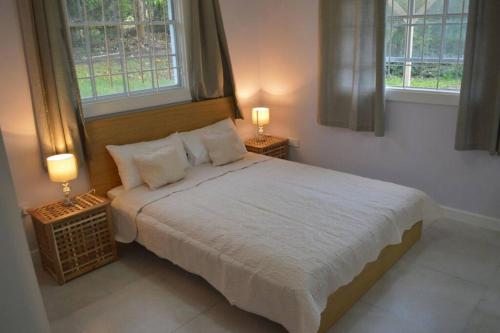 a bedroom with a large bed with two windows at Reduit Orchard - Beautiful Home near Reduit Beach in Gros Islet