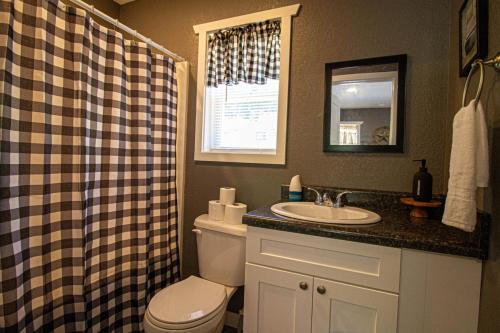 ein Badezimmer mit einem WC, einem Waschbecken und einem Spiegel in der Unterkunft Mountain Haven Dragon's Nest Cabin in Robbinsville