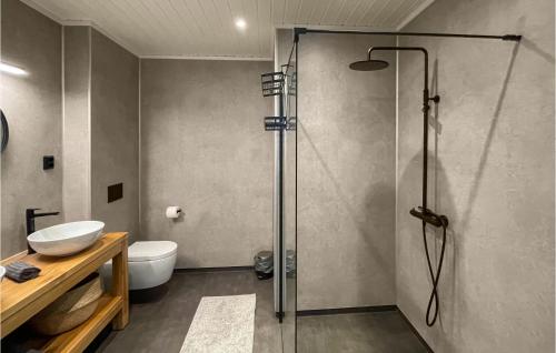 a bathroom with a shower and a toilet and a sink at Amazing Home In Koppang With Wifi And 8 Bedrooms in Koppang