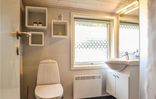 BjerregårdにあるLovely Home In Hvide Sande With Wifiのバスルーム(トイレ、洗面台付)、窓が備わります。