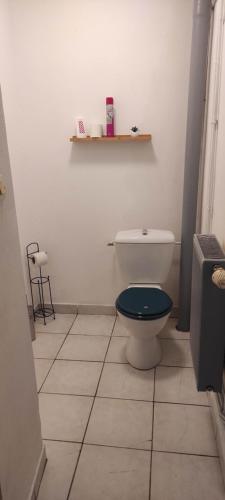 La salle de bains est pourvue de toilettes avec un siège bleu. dans l'établissement Chez Mathilde, maison de 90m2 pour 6 personnes, à Vaucouleurs