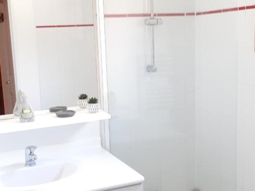 uma casa de banho branca com um lavatório e um chuveiro em Chalet La Joue du Loup, 3 pièces, 7 personnes - FR-1-504-54 em Le Dévoluy