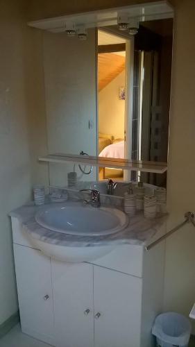 ein Badezimmer mit einem Waschbecken und einem großen Spiegel in der Unterkunft La P'tit' Fugue in La Bouexière