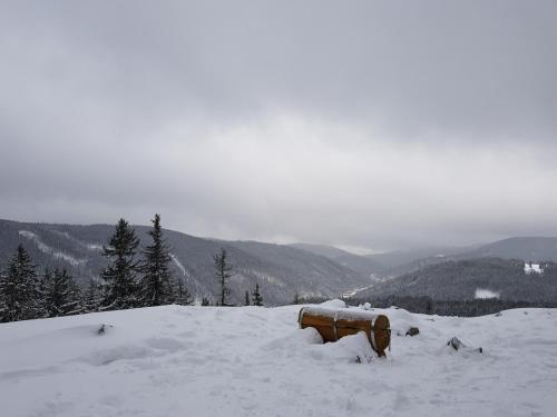 a snow covered bench sitting on top of a snow covered mountain at Apartmán Uršula in Jáchymov