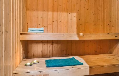 BjerregårdにあるStunning Home In Hvide Sande With Saunaの木製サウナ(ブルータオル、ブルービザー付)