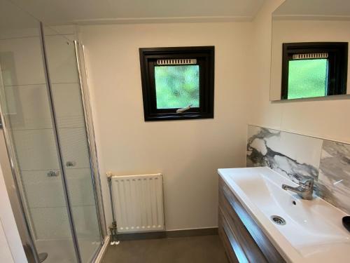 a bathroom with a sink and a shower at Chalet de Vinck in Diever in Diever