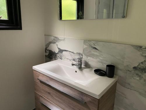 a bathroom with a sink and a mirror at Chalet de Vinck in Diever in Diever