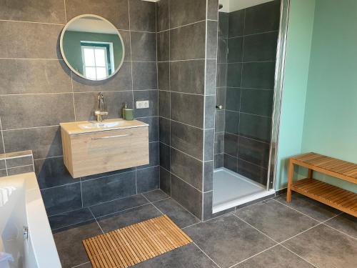 a bathroom with a shower and a sink and a mirror at B&B de wetenschap (der gastvrijheid) 